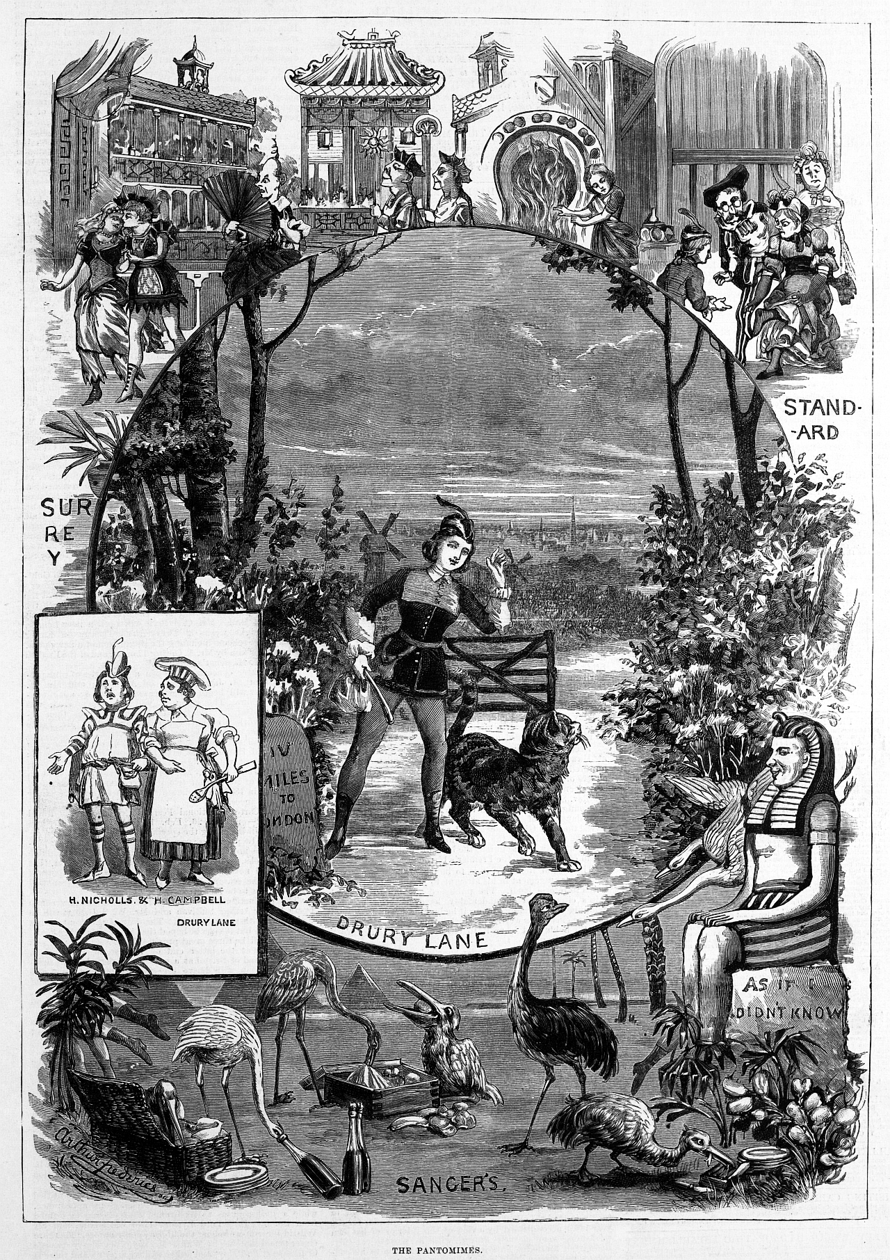 1884 panto